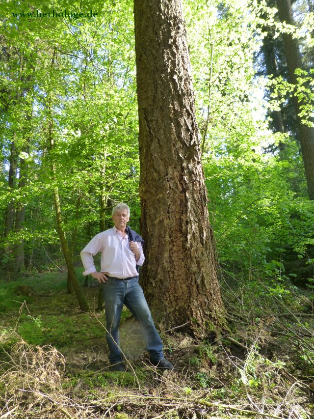 Matthias bei einem Prachtexemplar von Baum