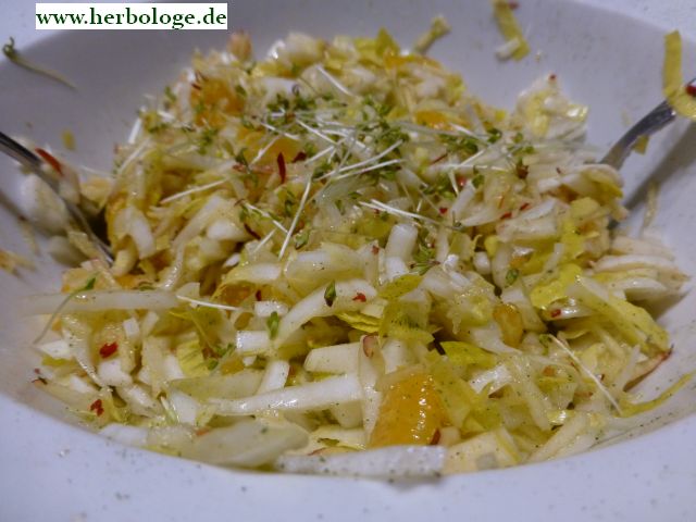 Chicoree-Salat